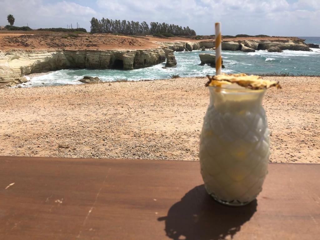 207 Kings Palace Seaview Paphos Eksteriør billede